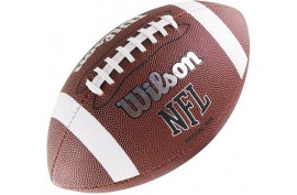 Wilson WTF1858XB NFL Bin Ball Official - Forelle American Sports Equipment