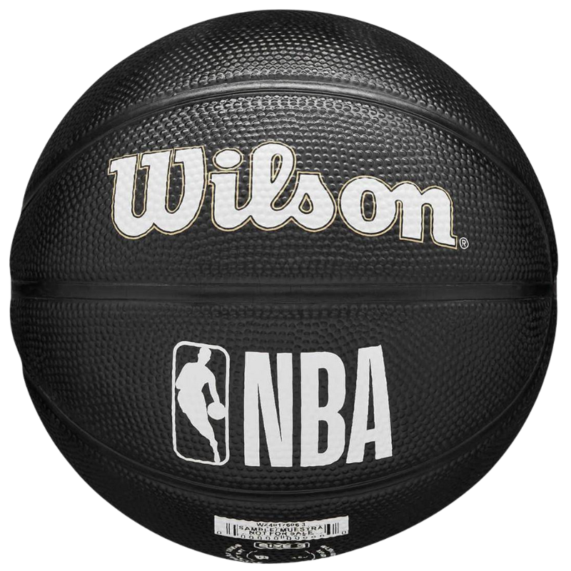 Wilson NBA Team Tribute Mini Black Basketball