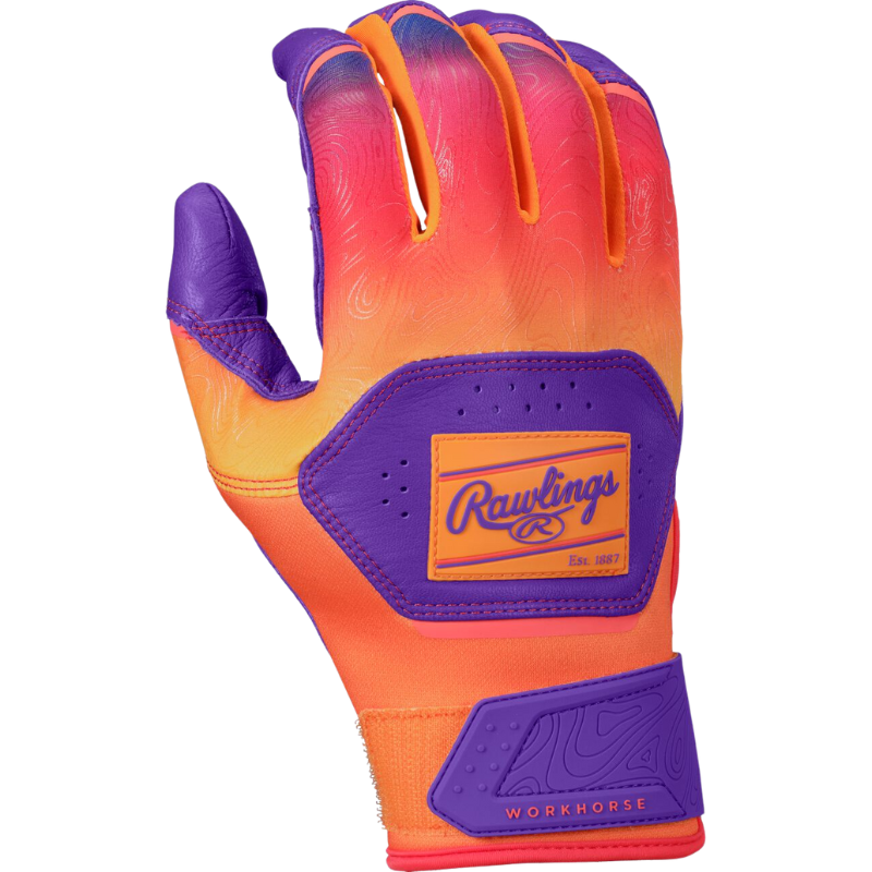 Rawlings WH25BG Workhorse Funburst Batting Gloves