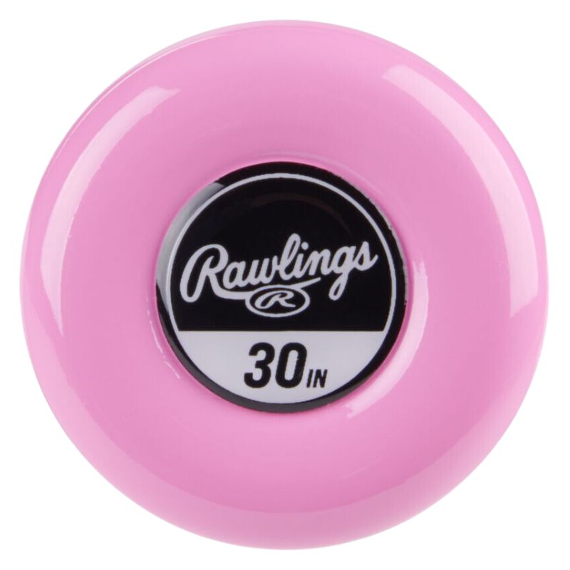 Rawlings RFP5O11 Ombre Alloy WBSC Certified Fastpitch Softball Bat Youth (-11) | 26 inch