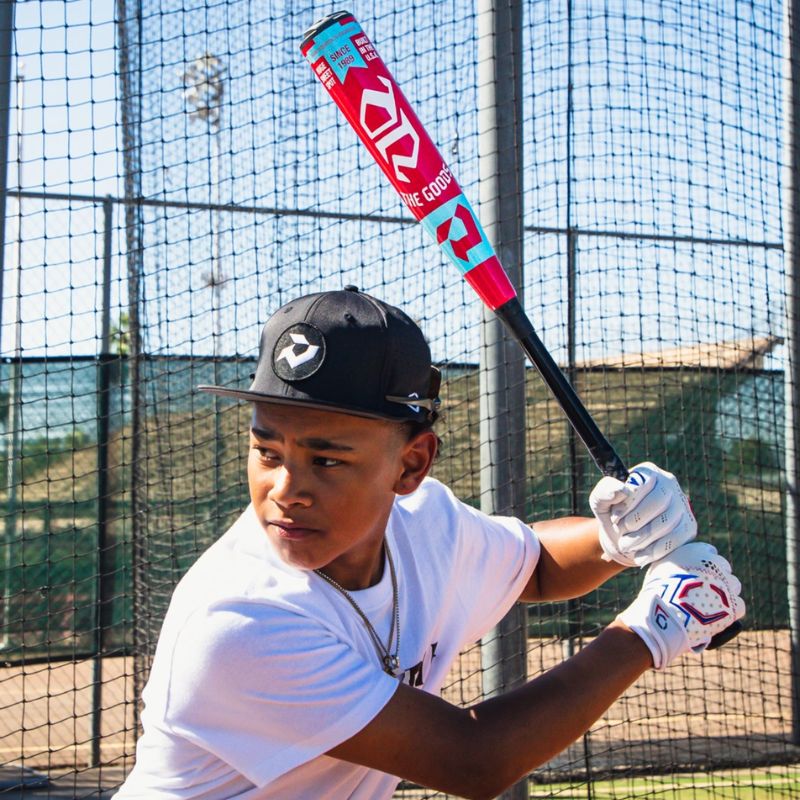 DeMarini WBD2718010 The Goods (-10) USA 31 inch Size