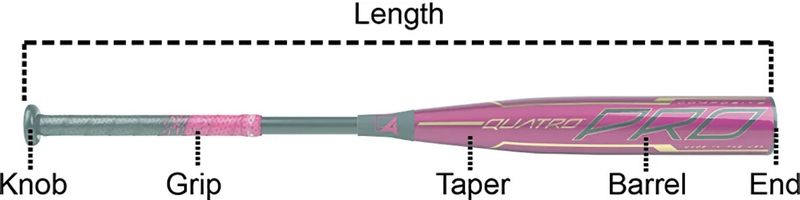 Bat_Anatomy_Buying_Guides_1.jpg