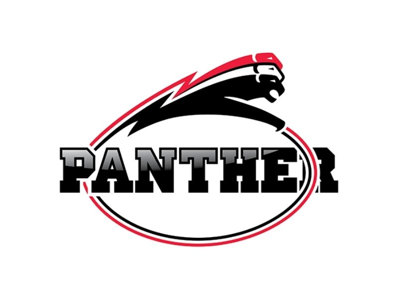 Dusseldorf Panther Logo