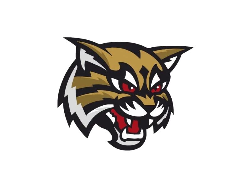 Highland Wildcats Logo