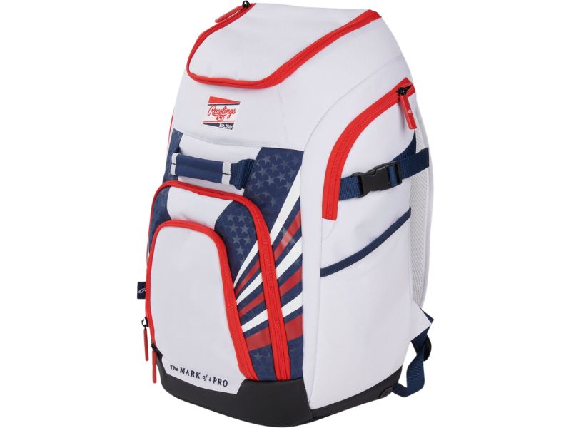 Rawlings FRANCHISE2 Series Baseball Backpack