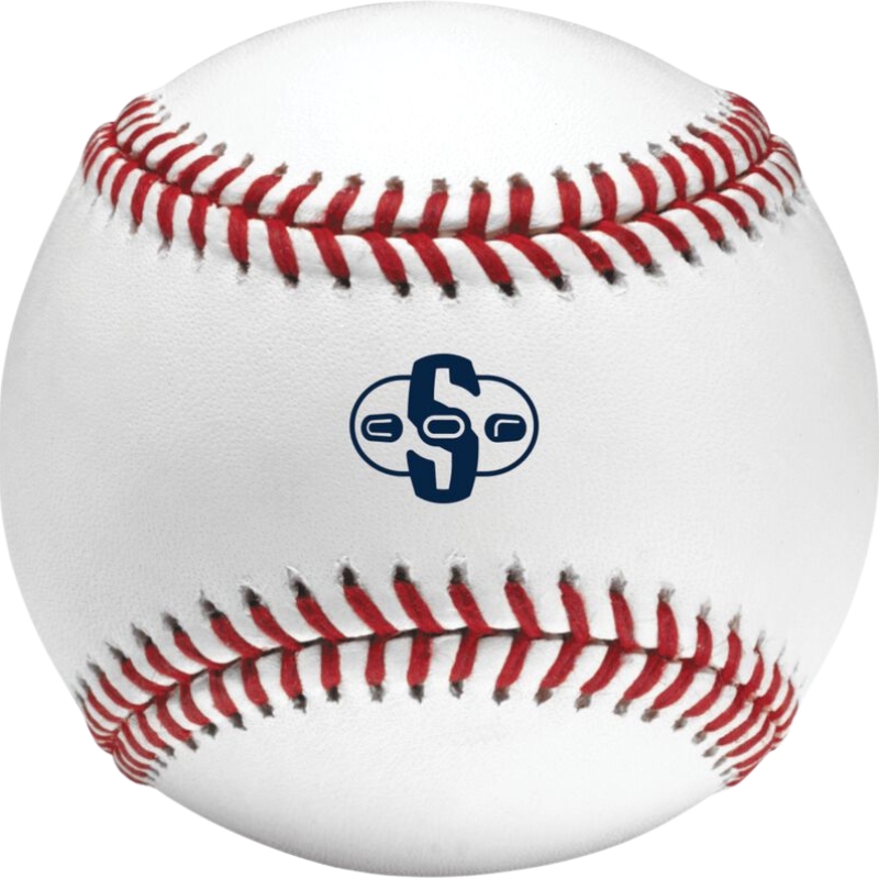 Rawlings TVB Safety 9 Inch Baseball | Indoor/Outdoor Training Ball