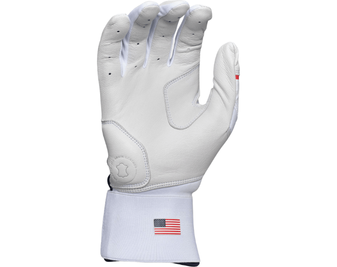 Rawlings WH25CBG Workhorse Comp. Strap L USA