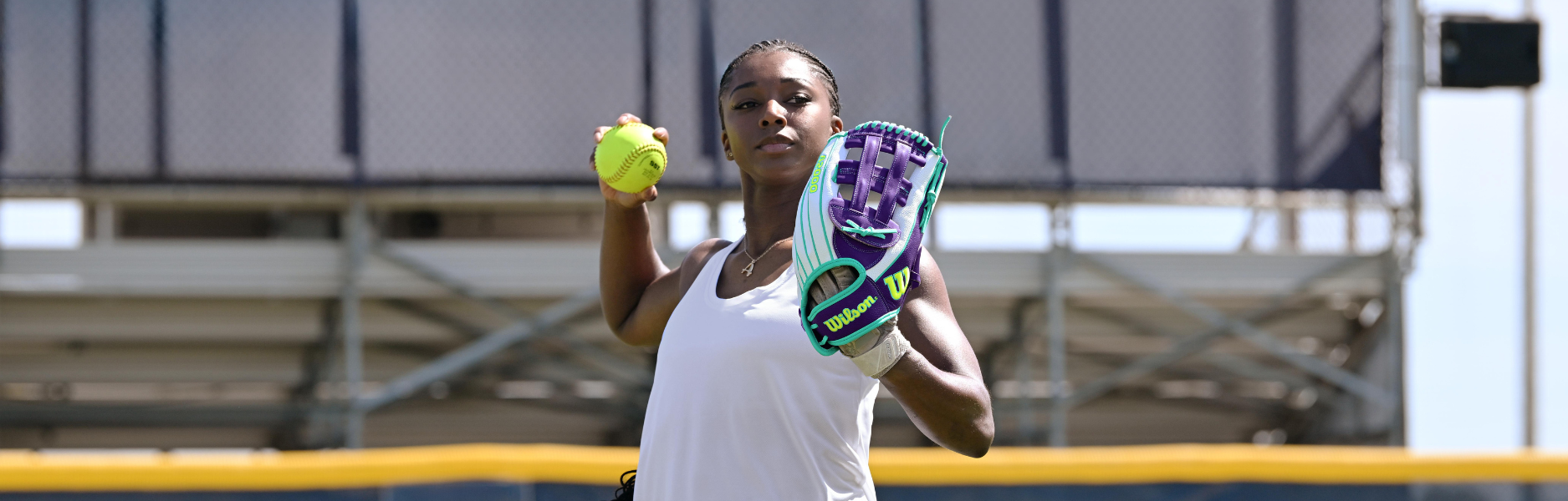 Softball_pitcher_gloves.png