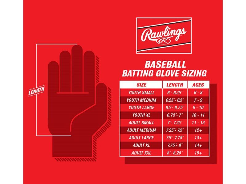 Rawlings WH25BG Workhorse S White/Navy