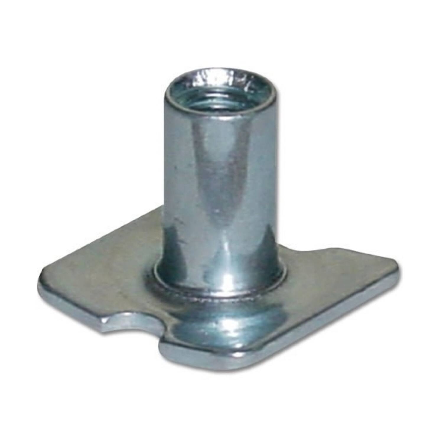 T-Nut, Regular