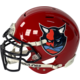 Rawlings ELF Authentic Helmet Team Hamburg Sea Devils