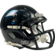 Riddell ELF Mini Replica Helmet Team Panthers Wroclaw