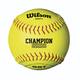 Wilson WTA9011BSST Fastpitch Official Size Game Ball