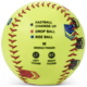SKLZ Pitch Training Softball for Form and Throwing Practice w/ Instructions (1107)