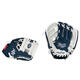 Rawlings MLB Logo Gloves LH 10 Inch Team Devilrays