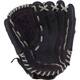 Rawlings R140BGS Leather Palm Renegade Series Slowpitch Glove 14 Inch | Left Hand Catch