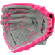 Rawlings ACAST100GP Leather Storm Series Fastpitch Softball Glove 10 Inch | Left Hand Catch