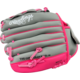 Rawlings ACAST100GP Leather Storm Series Fastpitch Softball Glove 10 Inch | Left Hand Catch