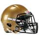 Riddell Victor-i Youth Helmets Painted L/XL South Bend Gold