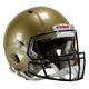 Riddell Speed Icon Helmets Painted (M-L) M South Bend Gold