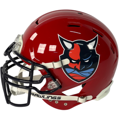 Rawlings ELF Authentic Helmet Team Hamburg Sea Devils