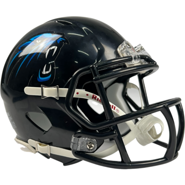 Riddell ELF Mini Replica Helmet Team Panthers Wroclaw
