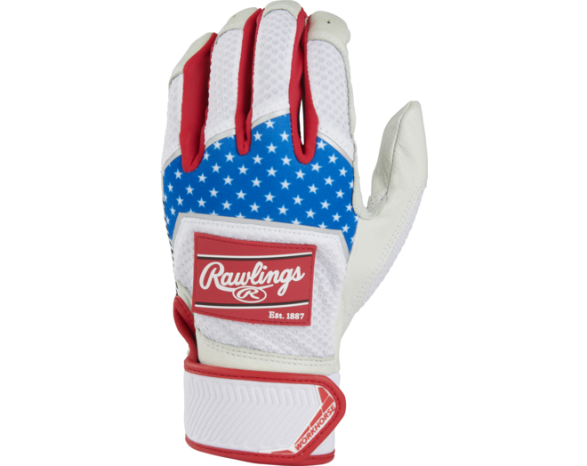 Rawlings WH22BG Workhorse Baseball M USA Tri-Color
