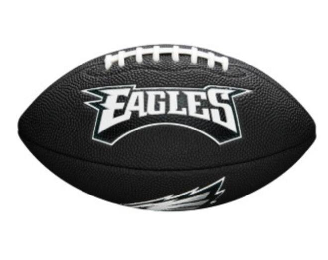 Wilson F1533XB Black Edition NFL Mini Soft Touch Team Eagles