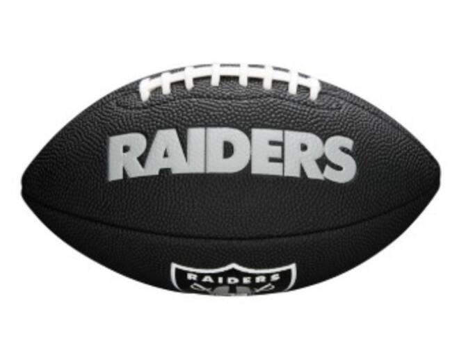 Wilson F1533XB Black Edition NFL Mini Soft Touc Team Raiders