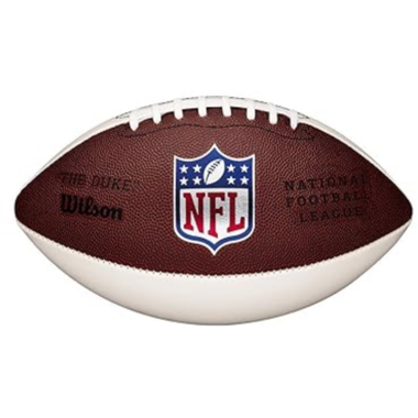 Wilson WTF1691ID NFL Mini Autograph