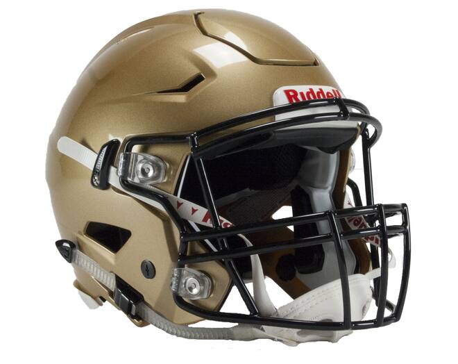 Riddell ゴールド ヘルメット MinnesotaVikingsRiddellSpeedFl