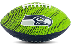 Wilson NFL Team Tailgate Football Junior