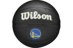 Wilson NBA Team Tribute Mini Black Basketball