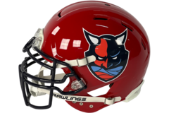 Rawlings ELF Authentic Helmet