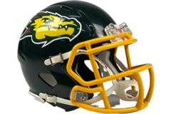 Riddell ELF Mini Replica Helmet