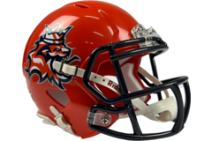 Riddell ELF Mini Replica Helmet