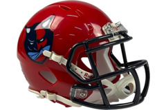 Riddell ELF Mini Replica Helmet