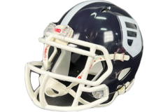 Riddell Mini Replica Helmet Forelle