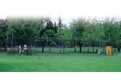 Batting Cage 70 Foot Frame, 5 standing posts
