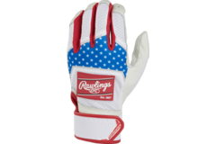 Rawlings WH22BG Workhorse Baseball