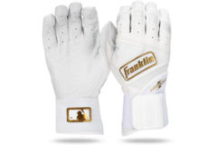 Franklin Powerstrap Infinite Series