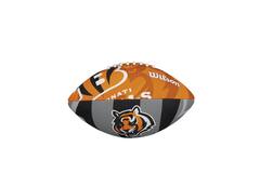 Wilson F1534XB NFL Team Logo Junior