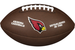 Wilson WTF1748XB NFL Backyard Legend