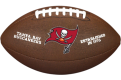 Wilson WTF1748XB NFL Backyard Legend