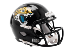 Riddell Speed Mini Helmet