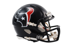 Riddell Speed Mini Helmet