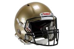 Riddell Speed Icon Helmets Painted (M-L)