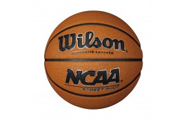 Wilson NCAA Street Shot Composite Ball - Forelle American Sports Equipment