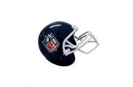 Majestic Mini NFL Helmet - Forelle American Sports Equipment