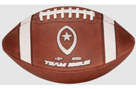 Team Issue Official High School Football Money Ball - Forelle American Sports Equipment